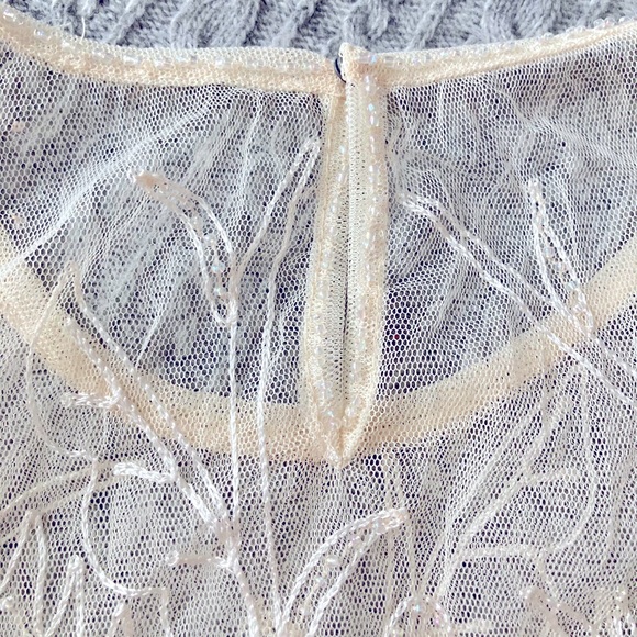 Cream/Nude Vintage Botanical Embroidered Beaded Sheer Overlay Top - Picture 5 of 6